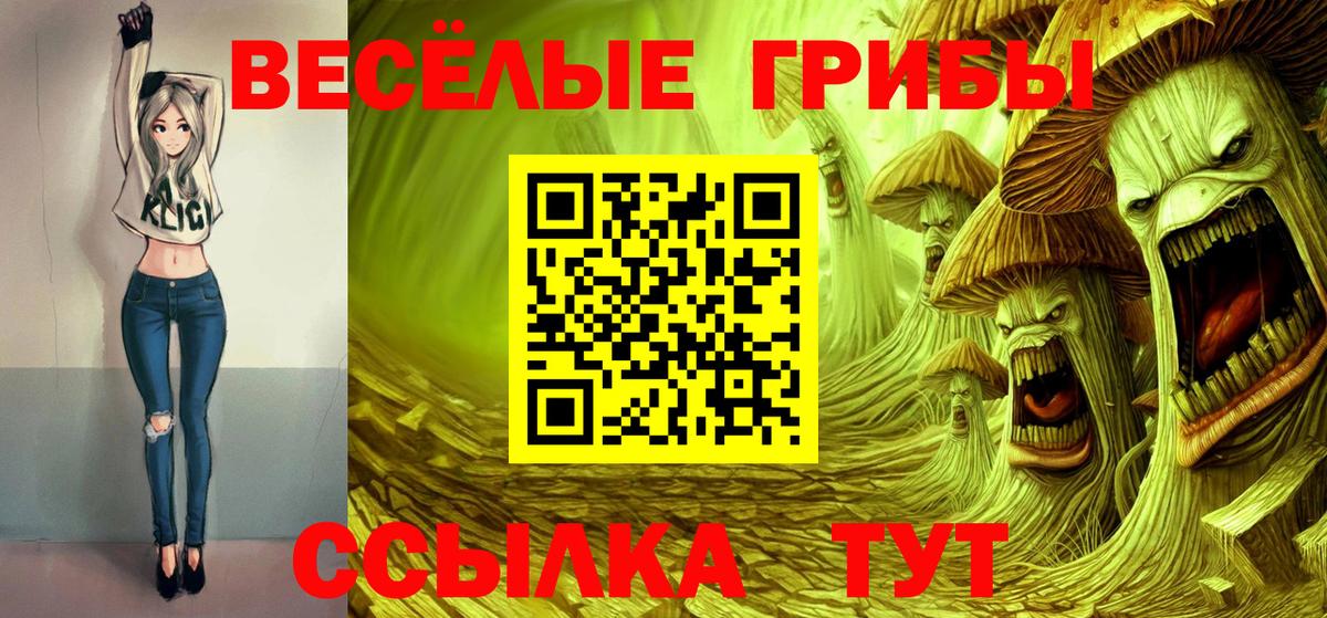 Галлюциногенные грибы MAGIC MUSHROOMS  закладки  Вход с VPN  Владивосток  Псилоцибиновые грибы мицелий 